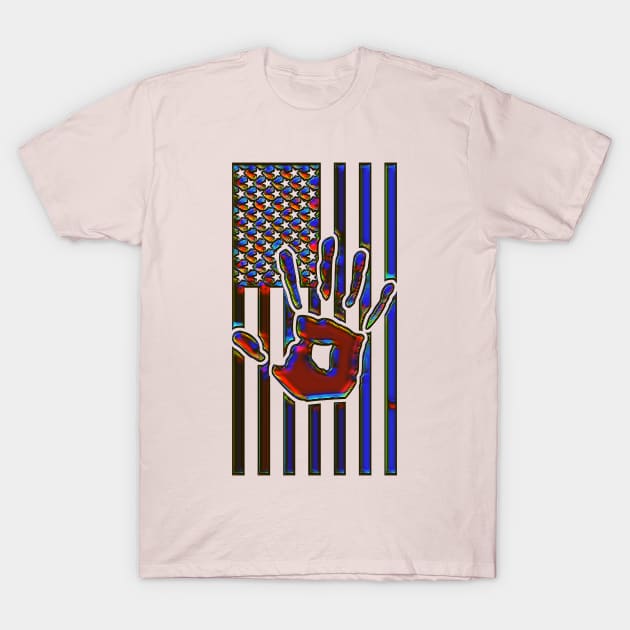 STOP the Hate Flag T-Shirt by PersianFMts